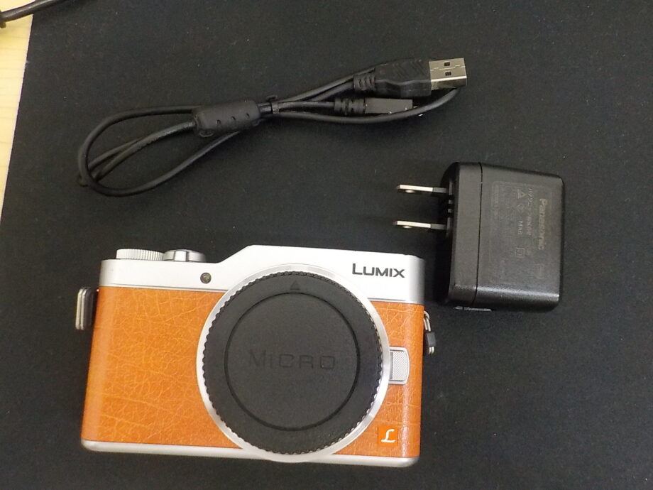 PANASONIC DC-GF9