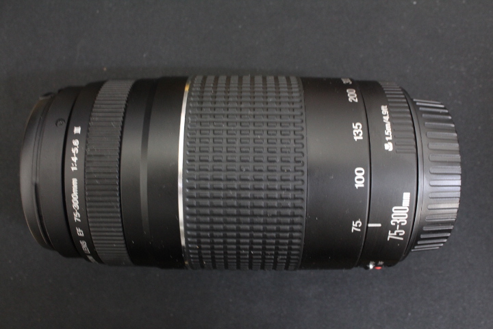 Canon EF 75-300mm 1:4-5.6 Ⅲ